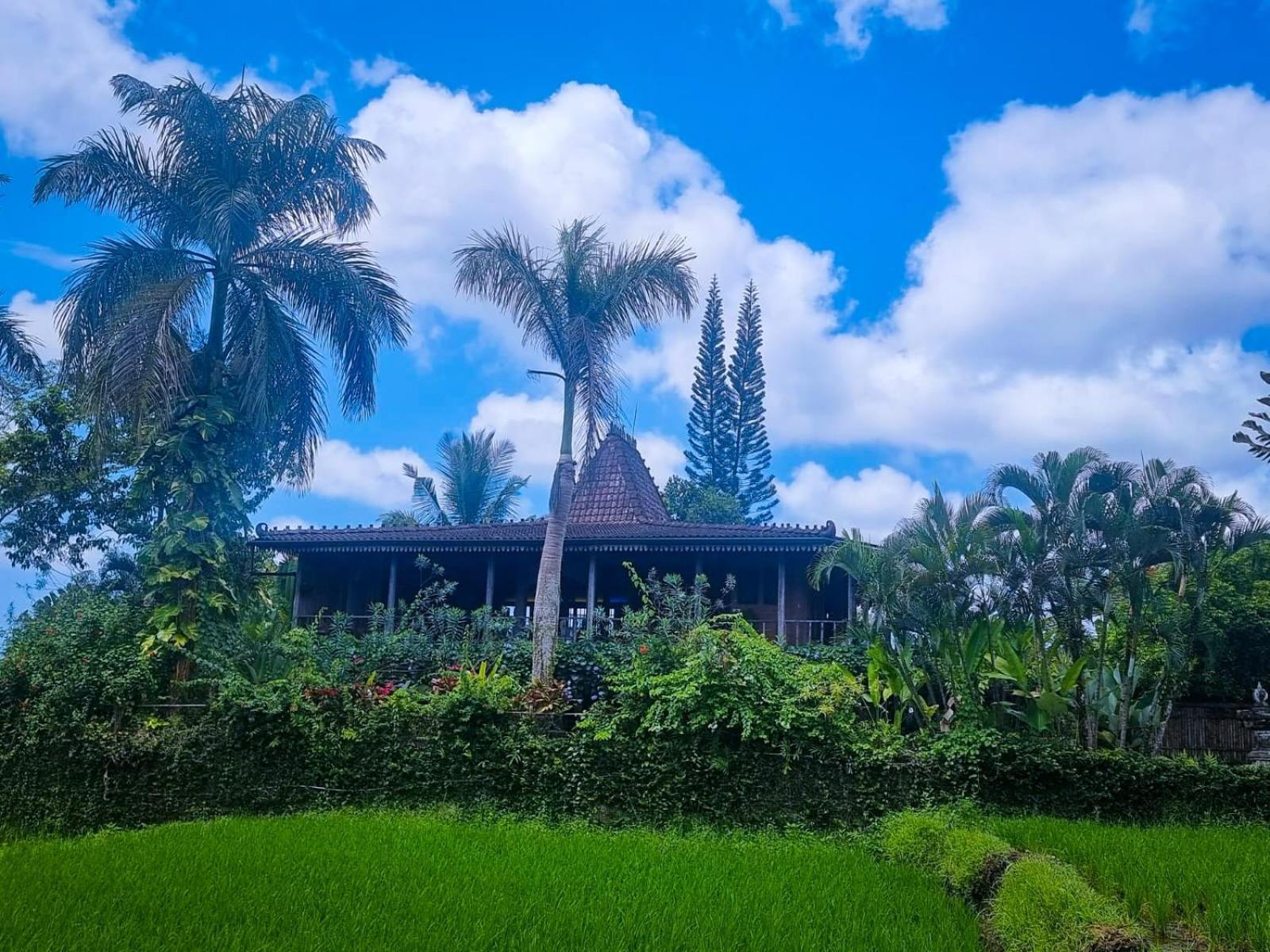 Ayu Dira Heritage House Ubud Exterior foto
